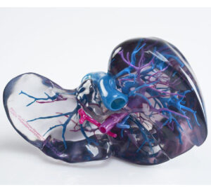 Stratasys Polyjet J850 Digital Anatomy