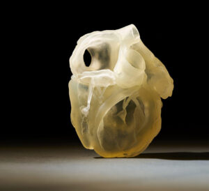 Stratasys Polyjet J850 Digital Anatomy