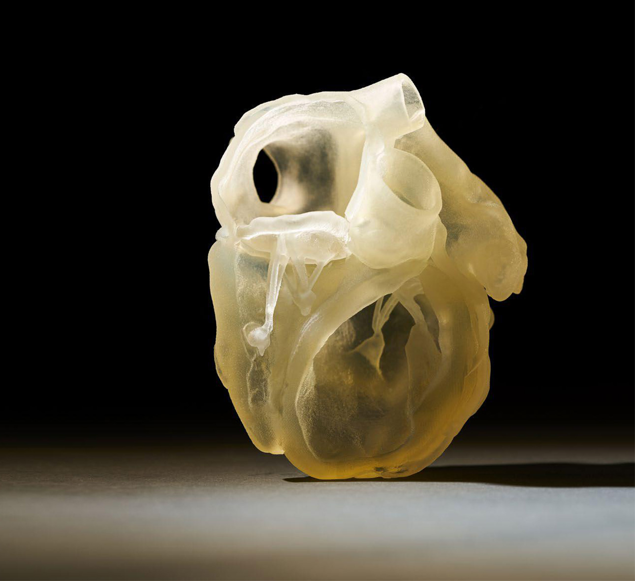 Stratasys Polyjet J850 Digital Anatomy